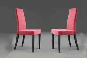 Modern Dining Chair
