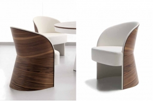 Modern Dining Chair