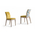 Modern Dining Chair