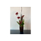 Arrangement de fleurs 1