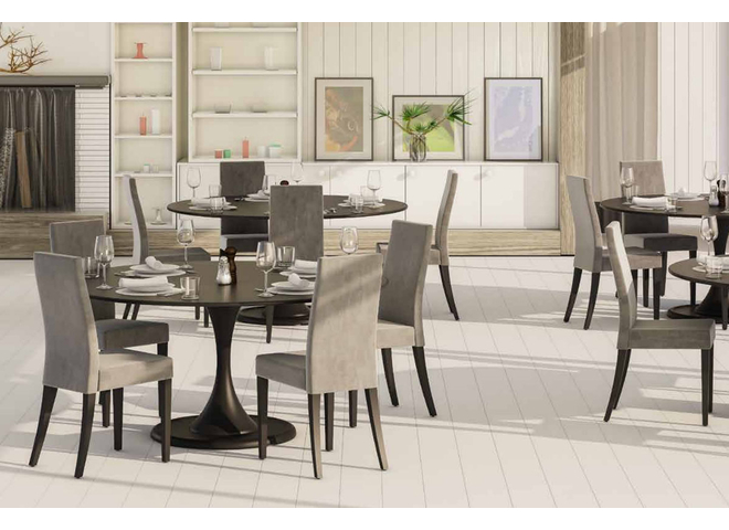 Modern Dining Chair