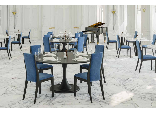 Modern Dining Chair