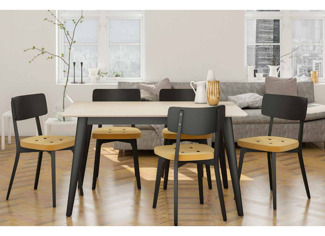Modern Dining Chair
