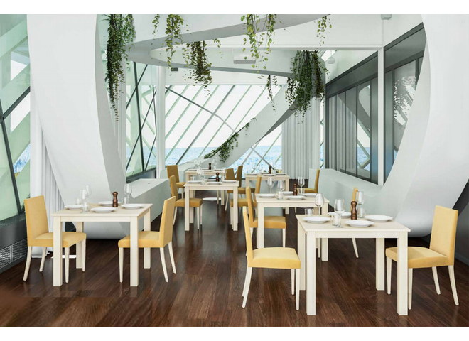 Modern Dining Chair