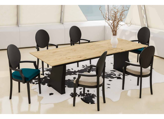 Modern Dining Chair
